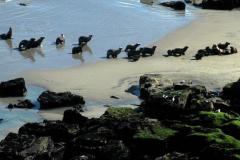 5693def3e943b_579x386