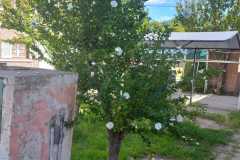 WhatsApp-Image-2024-03-22-at-1.47.40-PM-2